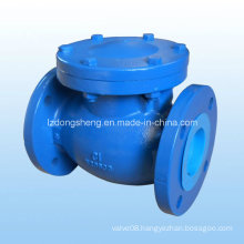 DIN Cast Iron Swing Check Valve, Pn16